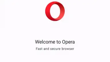 Capture d'écran de Opera Browser 1