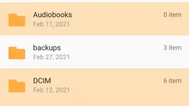 Capture d'écran de FM File Manager 1