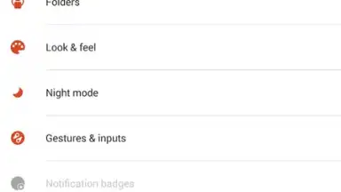 Capture d'écran de Nova Launcher 18