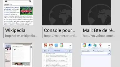Capture d'écran de Tint Browser 4