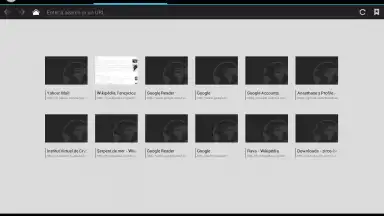 Capture d'écran de Tint Browser 2