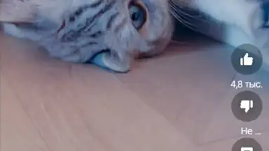 Capture d'écran de UDL App 3