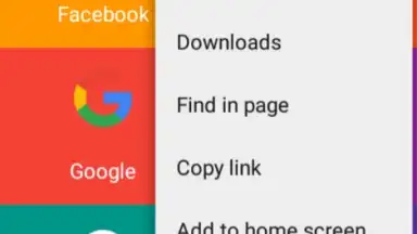 Capture d'écran de BrowserR 4