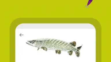 Capture d'écran de Génération Pêche 1