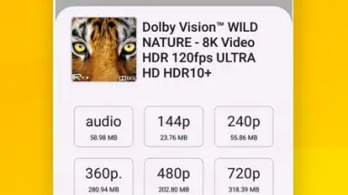 Capture d'écran de Vidora YouTube Downloader | free & fast 13