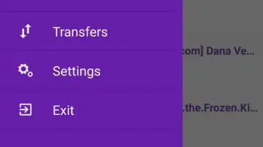 Capture d'écran de YouTorrents 4