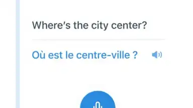 Capture d'écran de Reverso Translation Dictionary 22