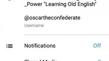Capture d'écran de Via Messenger - Unofficial Telegram App 18