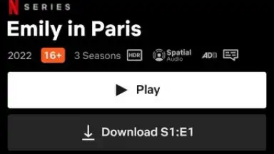 Capture d'écran de Netflix 6