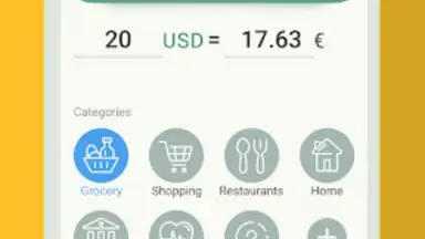 Capture d'écran de Money manager & expenses 5