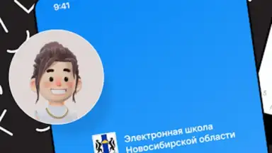 Capture d'écran de Дневник Новосибирской области 15