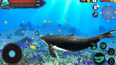 Capture d'écran de The Humpback Whales 1