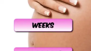 Capture d'écran de Pregnancy Weekly 1