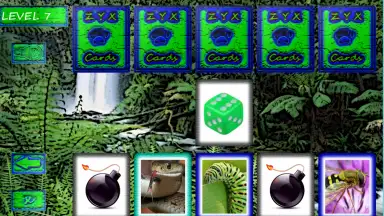 Capture d'écran de ZYXCards 1
