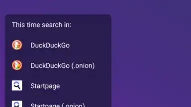 Capture d'écran de Tor Browser 4
