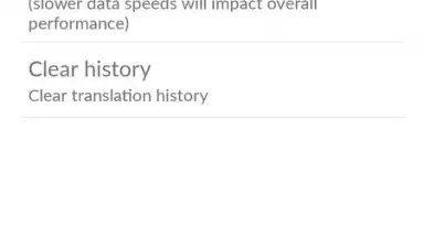 Capture d'écran de Microsoft Translator 8