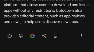 Capture d'écran de Google Gemini 13