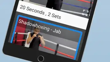 Capture d'écran de Ultimate MMA Fighting Program 3