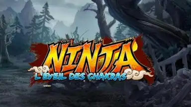 Capture d'écran de Ninja 3