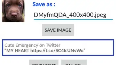 Capture d'écran de Video Downloader for Twitter 1