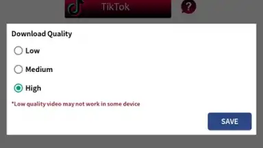 Capture d'écran de VidGet - YouTube, Insta and TikTok downloader 2