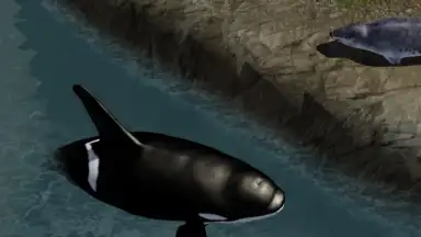 Capture d'écran de Orca Simulator 2