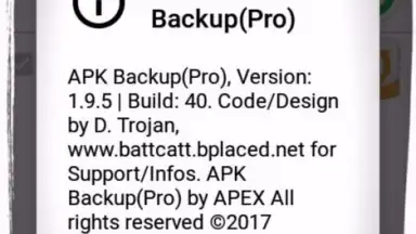 Capture d'écran de APK Backup(Pro) 7