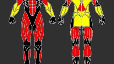 Capture d'écran de GymUP 2