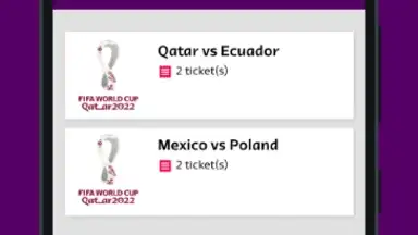 Capture d'écran de FIFA World Cup 2022™ Tickets 1