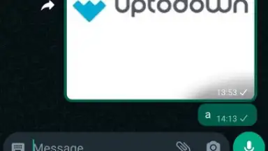 Capture d'écran de WhatsApp Messenger 4