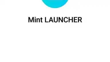 Capture d'écran de Mint Launcher 1