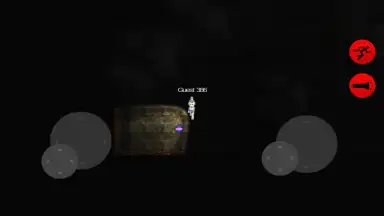 Capture d'écran de Slendytubbies 2D 3
