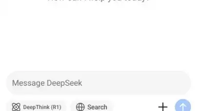 Capture d'écran de DeepSeek 9