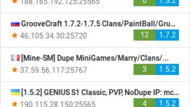 Capture d'écran de Minecraft Statistics 6