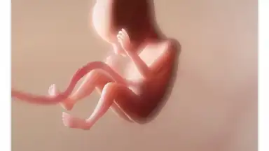 Capture d'écran de Pregnancy + 1