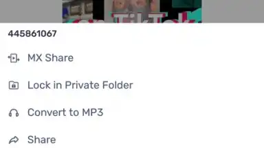 Capture d'écran de MX Player 3