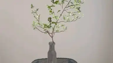 Capture d'écran de Homestyler 3