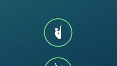 Capture d'écran de Veriflite 3