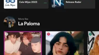 Capture d'écran de Spotify 13
