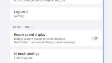 Capture d'écran de v2RayTun 13