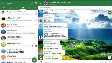 Capture d'écran de ZapZap Messenger 1