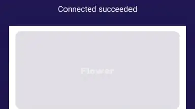 Capture d'écran de Flower VPN 1