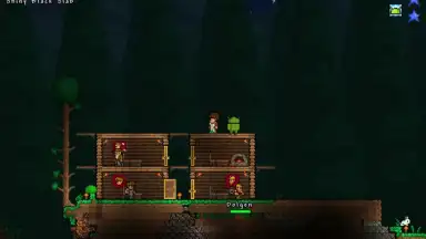 Capture d'écran de Terraria 2