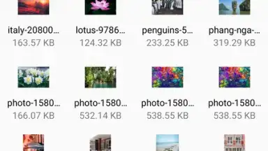 Capture d'écran de FM File Manager 3