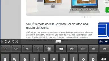 Capture d'écran de VNC Viewer 15