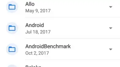 Capture d'écran de Files by Google 7