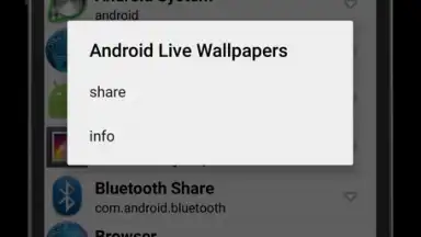 Capture d'écran de Meher APK Extractor 5