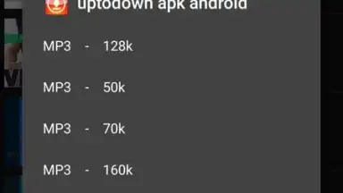 Capture d'écran de MP3 Downloader 1