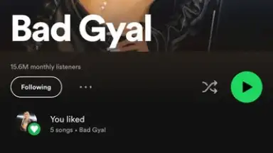 Capture d'écran de Spotify 5