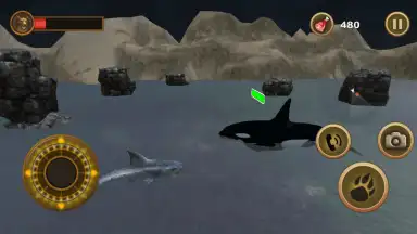 Capture d'écran de Great White Shark Survival 2